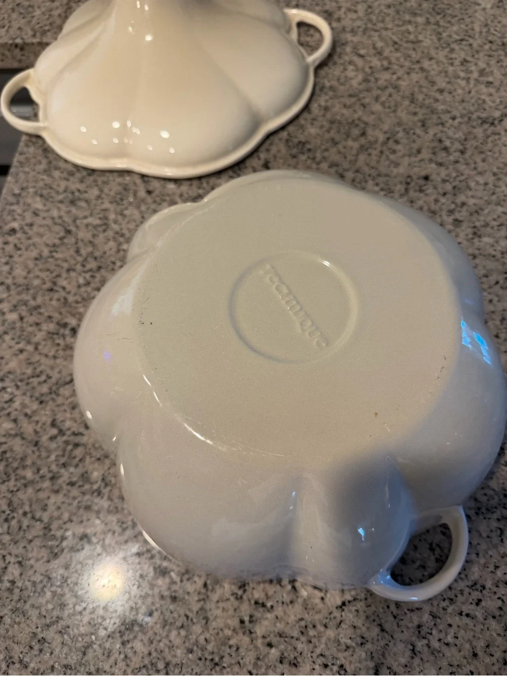 Real techniques, cast-iron, and ceramic white pumpkin Dutch oven